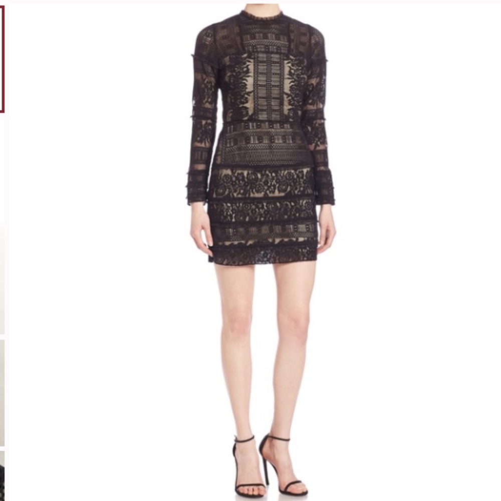 Parker Julie Lace Combo Mini Dress Long Sleeve - Small - Picture 4 of 14